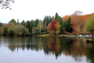 Parque da Natureza de Cotorredondo